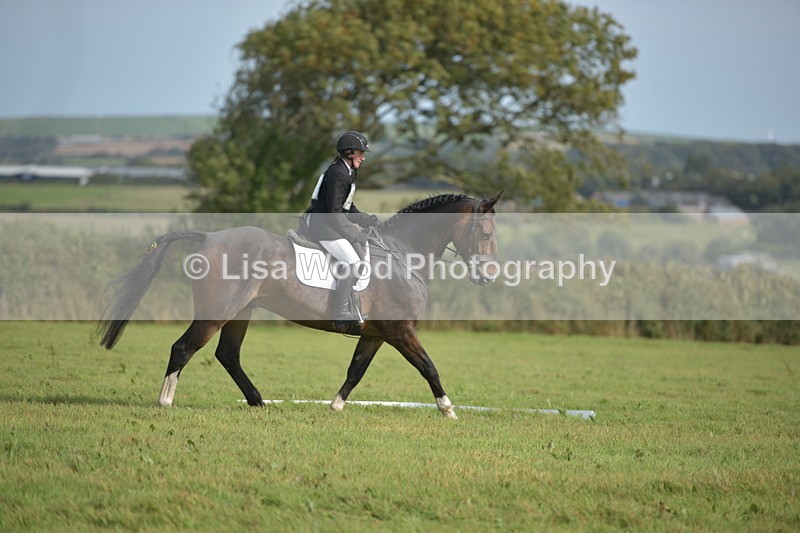 RAY_7920 - Class 2B: Trekenning Open: Dressage