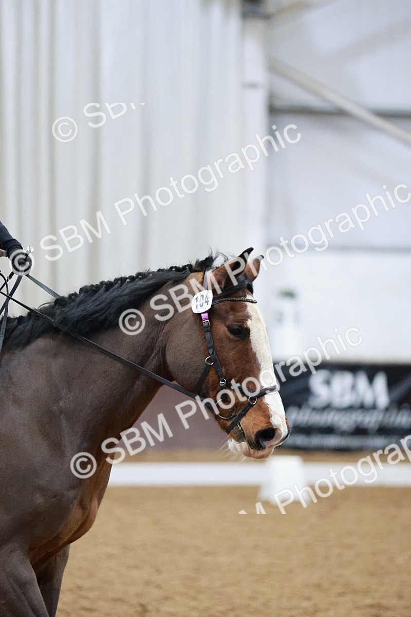 SBM_000215 - Class 17-6-18 - TQ U21 Novice 3Novice 3-MQ Open Prelim 1