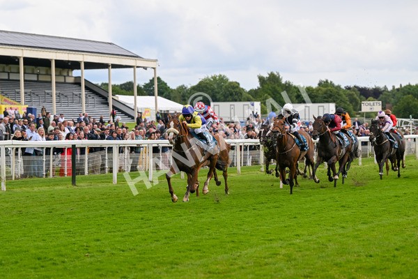 140624-Race 5-Ron O-4841 - Race 5 4.10pm Juddmonte EBF Fillies Restricted Novice Stakes