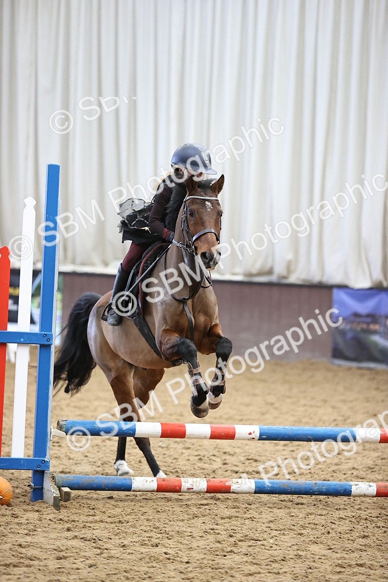 SBM_001527 - Class 3 - Horse & Hound 60cm