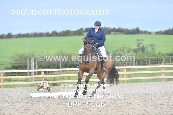 BPP_5666 - PRELIM TEST 4 LONG ARENA