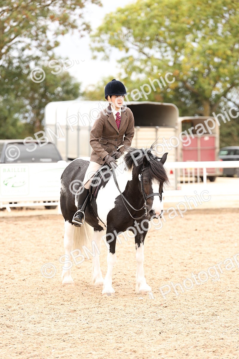 SBM_19707 - Class 216 - Ridden Traditional - Native Cob