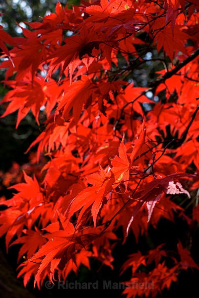  - Autumn