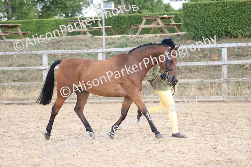 20260831-2363 - Class 9 - Show Pony and Show Hunter