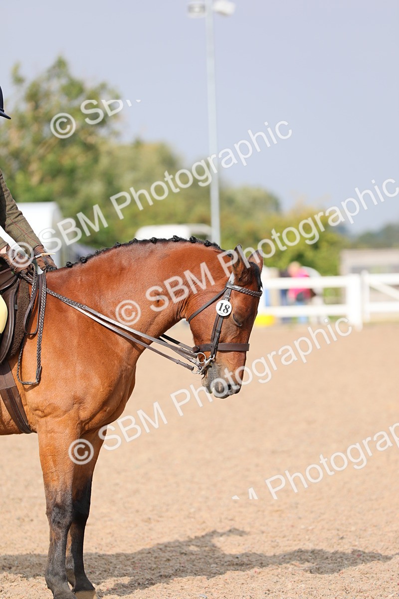 SBM_10908 - Class 304 Ridden Part Bred Horse/Pony