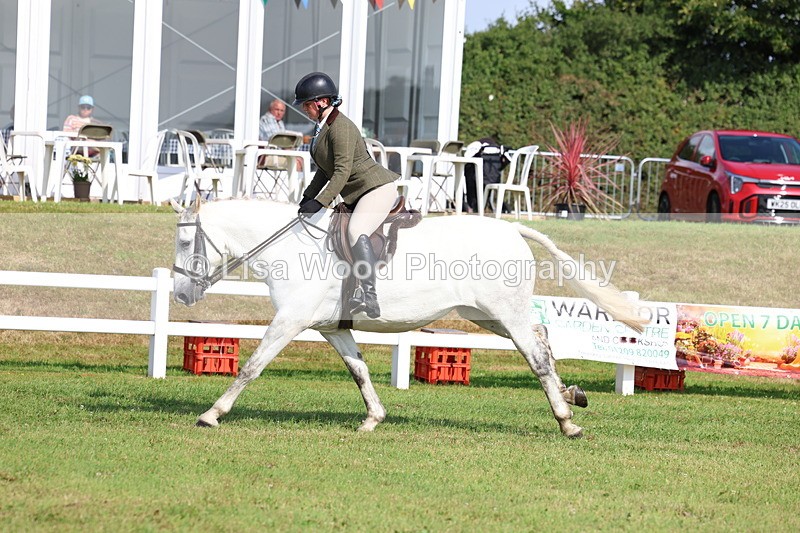 3E7A8790 - Class 3: Rising Star S/L Hunter