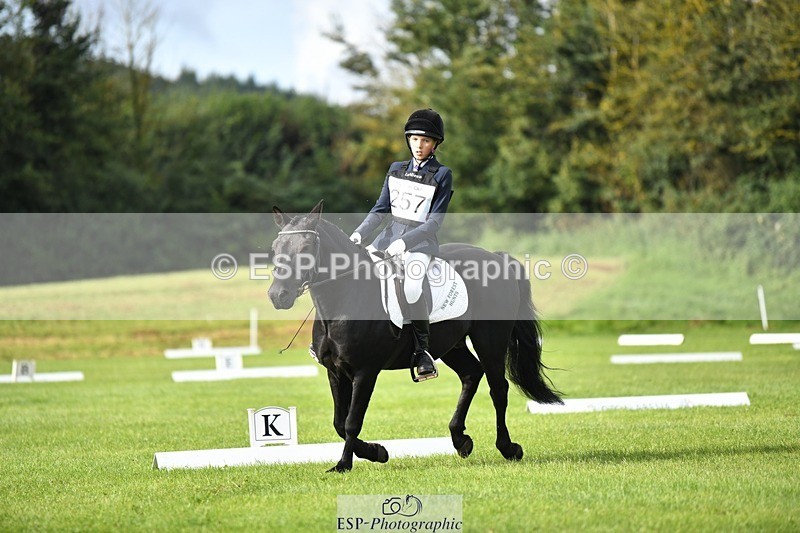 230826-094928-15253 - Sections C & D 9 to 10am