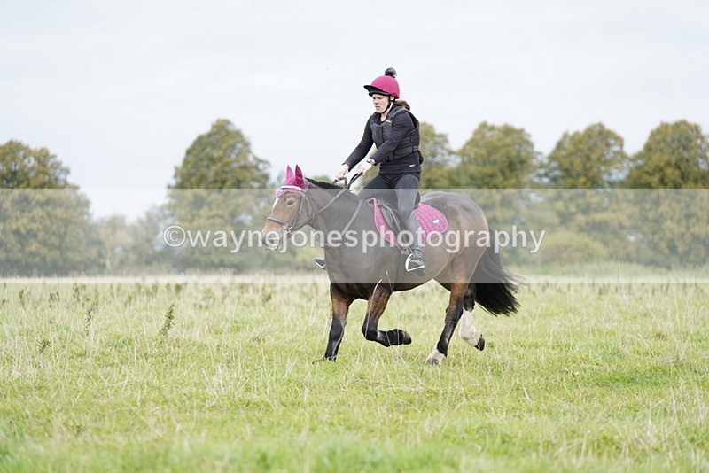 _DSC5775 - Time at Photographer 09:38 to 09:43