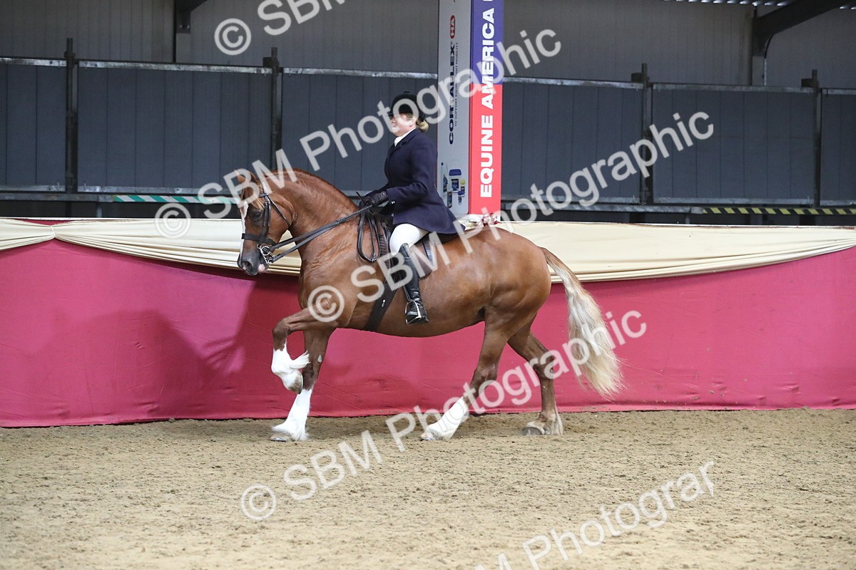 SBM_16392 - Class 502 M&M Ridden Supreme Final