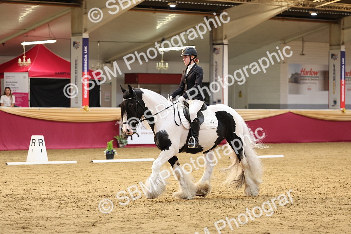 SBM_09291 - Class 51 - Dressage to music