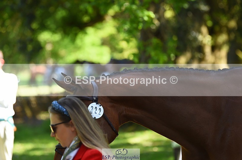 230524-152028-00215 - 322-CHANSON_DU_VILLAGE-Phoebe_Locke-WEDTrotUp+DR