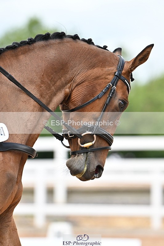 240622A-133533-11693 - Cls 4A Prelim 18