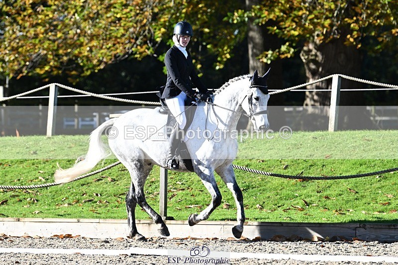 231110-103025-00104 - Cls 2 Prelim 17(a)Q