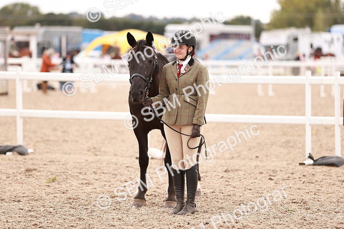 SBM_16920 - Class 415 - Horse-Pony Judge would most like to take home