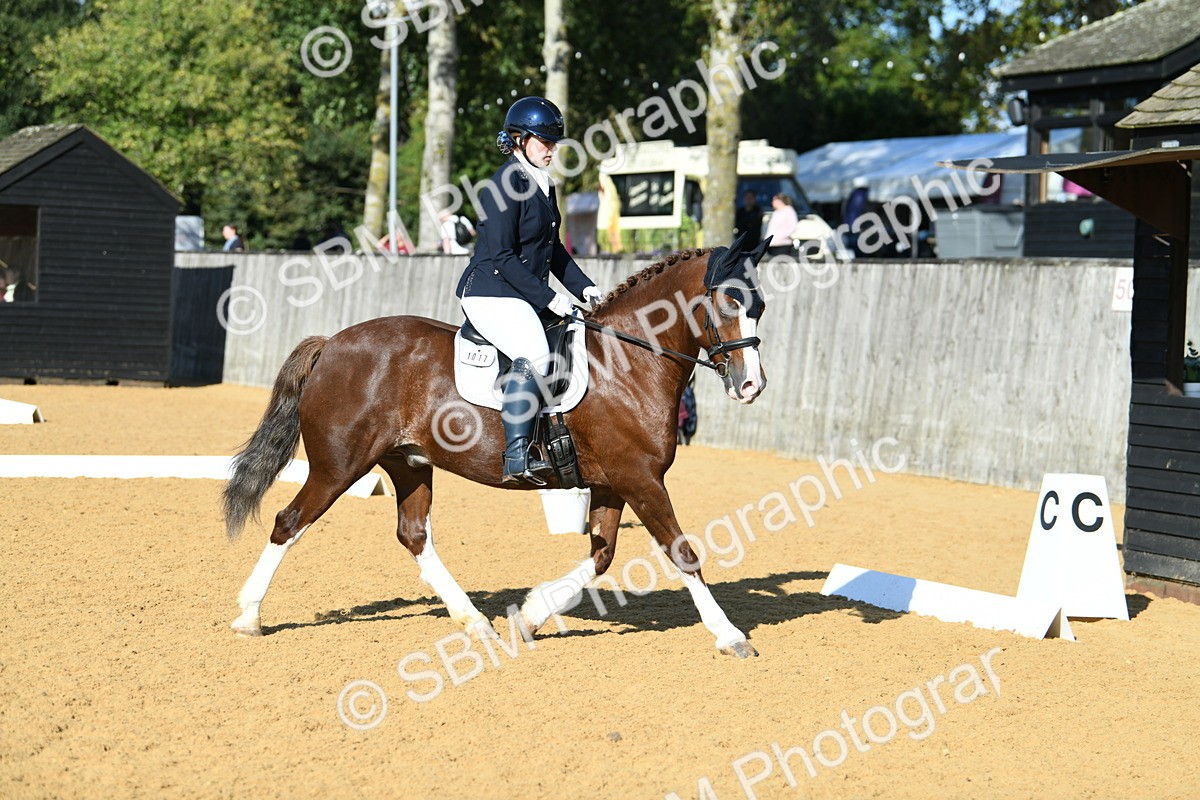 SBM_27220 - D16 - Small Tour Championship - Novice 28