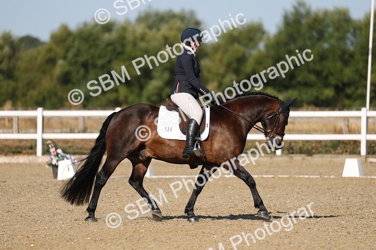 SBM_012740 - Class 1 - P5 Bronze 9.00.10.12
