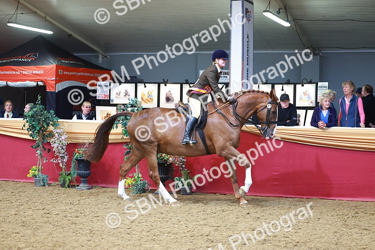 SBM_12718 - Class 103 - HOYS Veteran Qualifier - Ridden Pre Vet