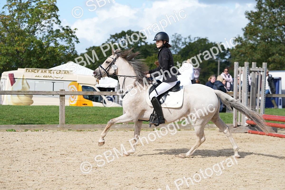 SBM_17853 - J58 - Clear Round 50cm
