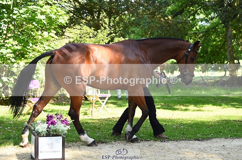 230524-154116-00439 - 367-ITAREUSO-Louisa_Lockwood-WEDTrotUp+DR