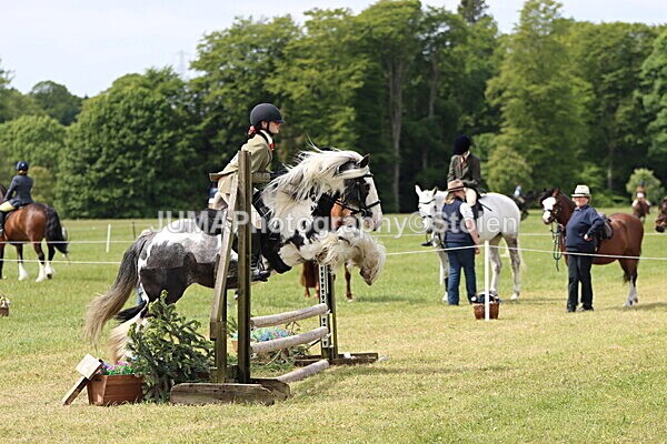 IMG_3147 - Working Hunter