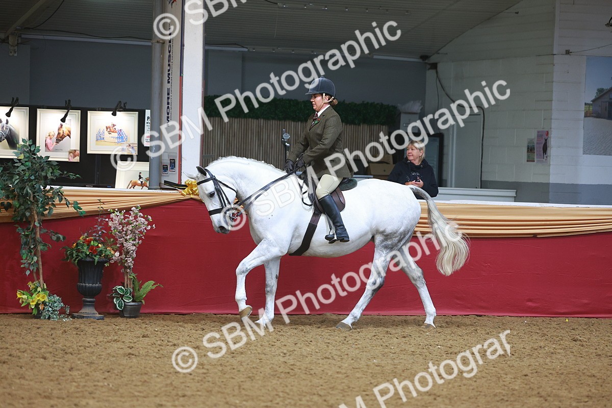 SBM_10553 - Class 103 - HOYS Veteran Qualifier - Ridden Pre Vet