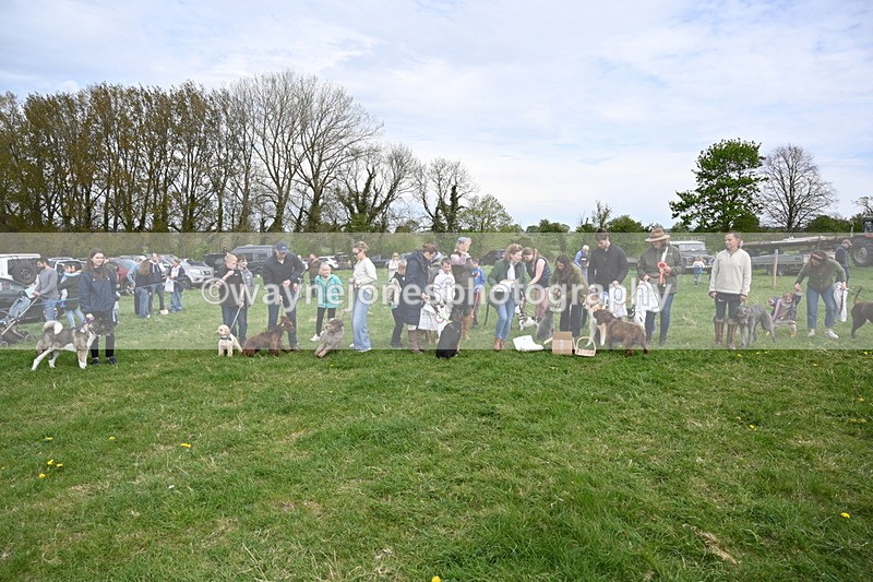 WJ6_8638 - Class 6 Best Rescue