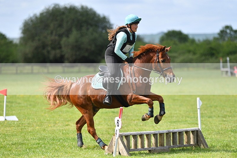 WJ5_2626 - Class 2 40cm