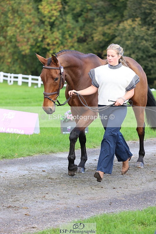 251026A-102655-22998 - E-386-Zara.Head