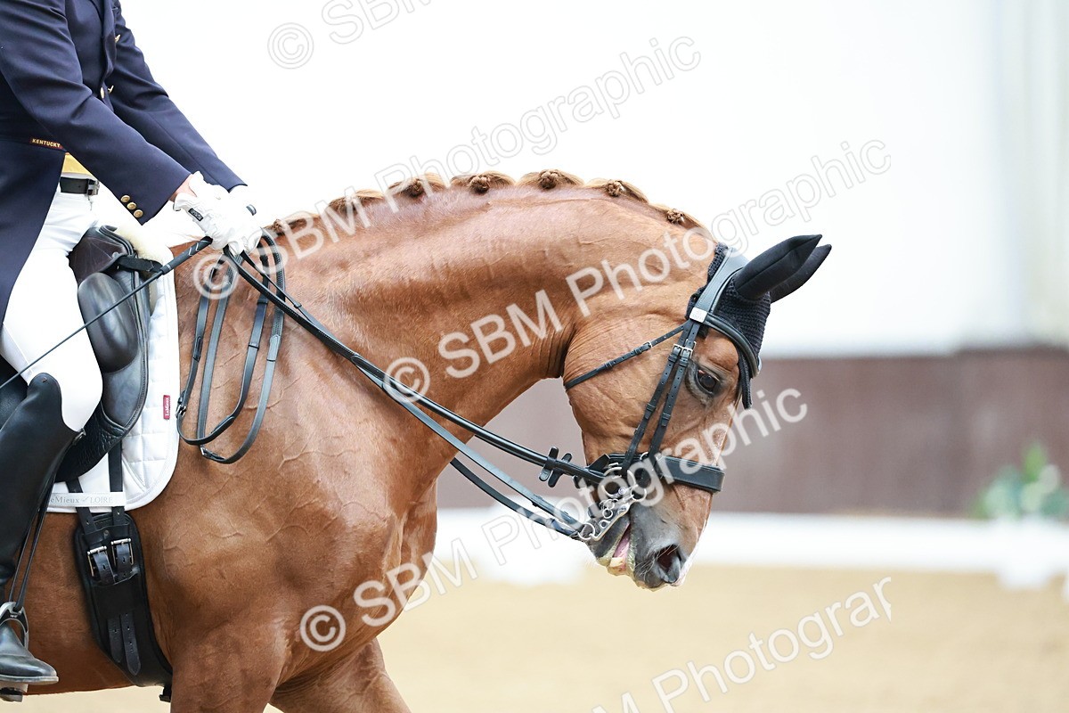 SBM_015723 - Class 5 - FEI INT II - 15.48-17.00