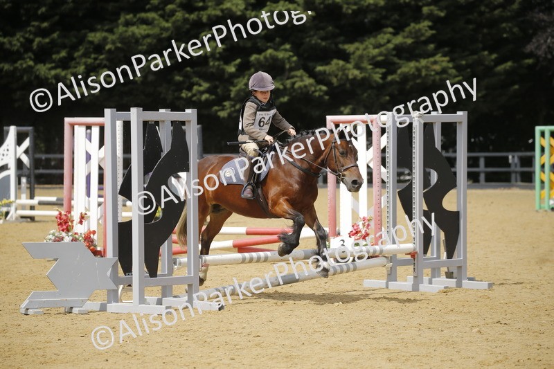 20250622-4085 - 50cm