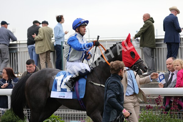 yr19082021r5-9 - Race 5 4.10pm OR8wellness ebfstallions Nursery Handicap