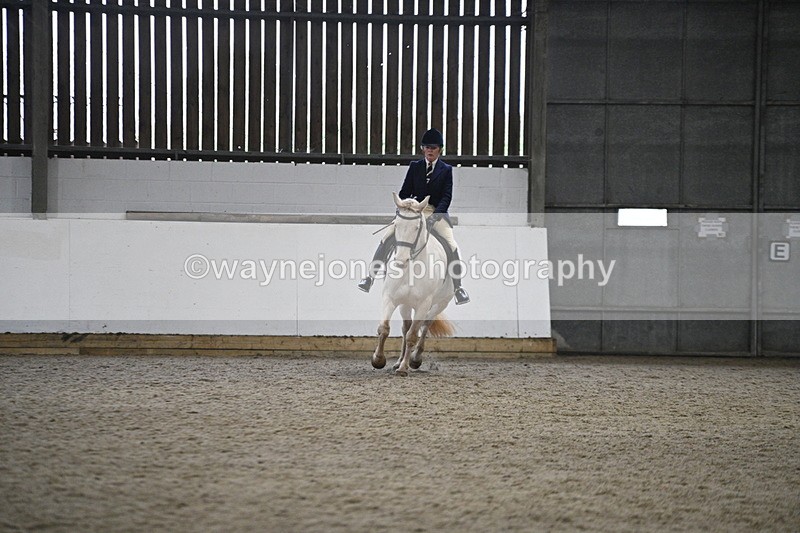 WJ7_3629 - Class 16 Ridden Coloured/ Odd Coloured