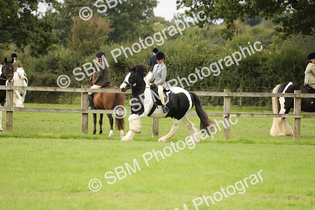 SBM_71664 - S41 - Ridden Equitation (Best Rider)