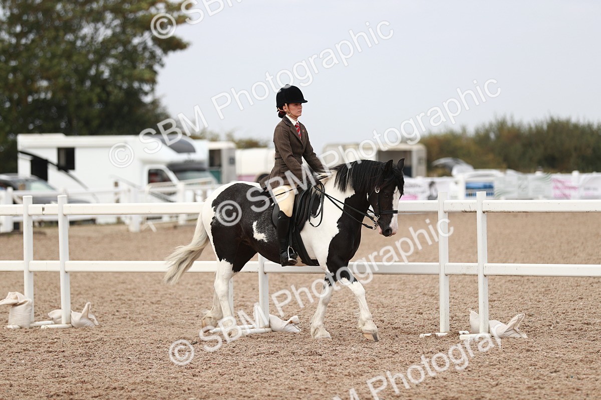 SBM_16573 - Class 214 Ridden Cob