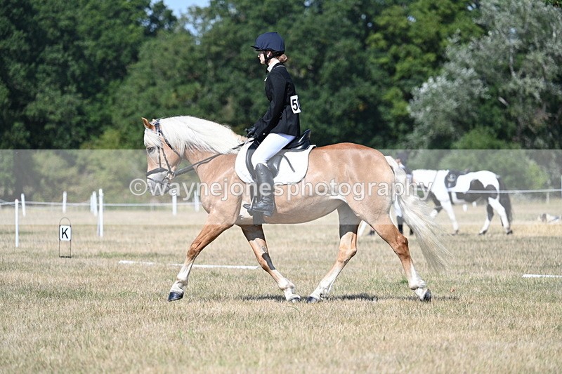 WJ7_0324 - Time 11:33 to 11:44