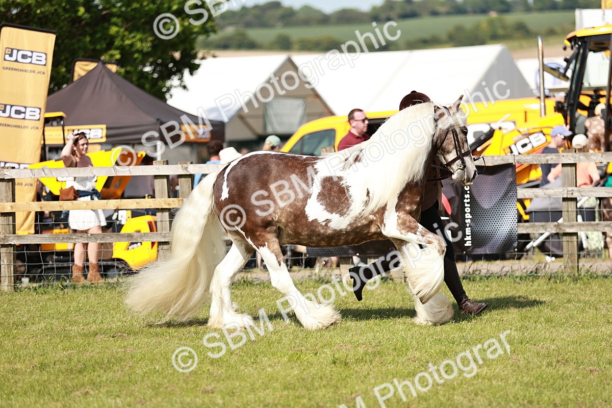 SBM_08779