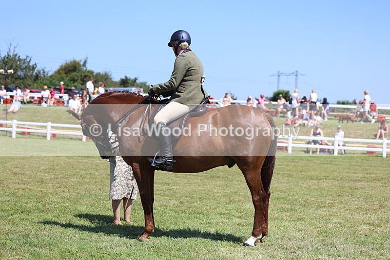 3E7A7781 - Class 7: Open Riding Horse
