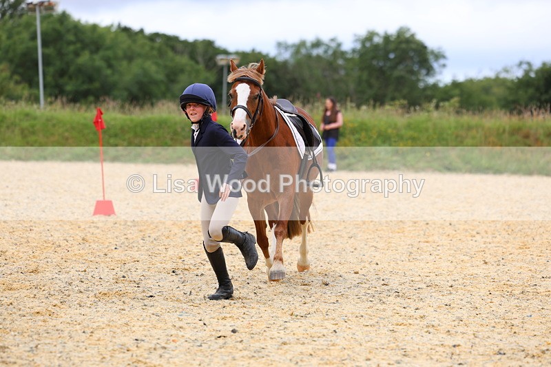 3E7A9664 - Walk trot run