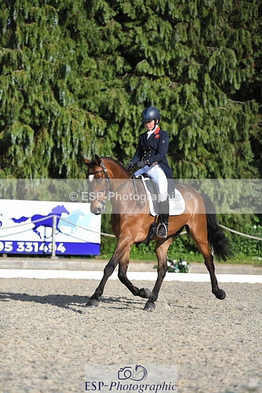 230525-175622-03640 - 132-OGUE_VERDI-Kitty_King-WEDTrotUp+DR