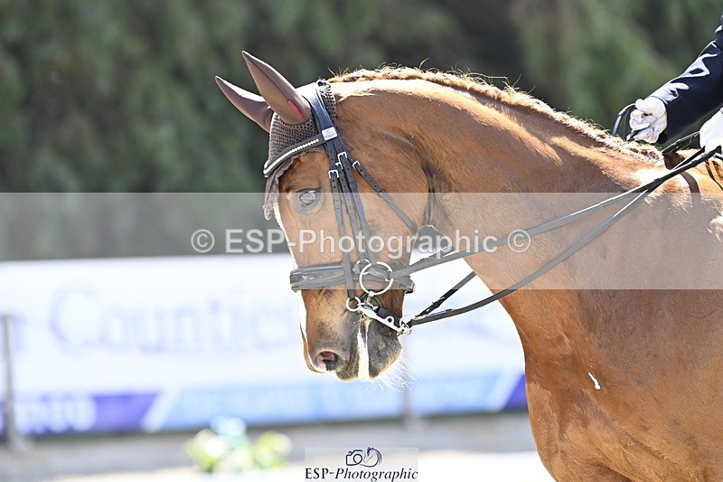250810A-115524-05575 - 107-Sophie.DickinsonFurst.Ricci
