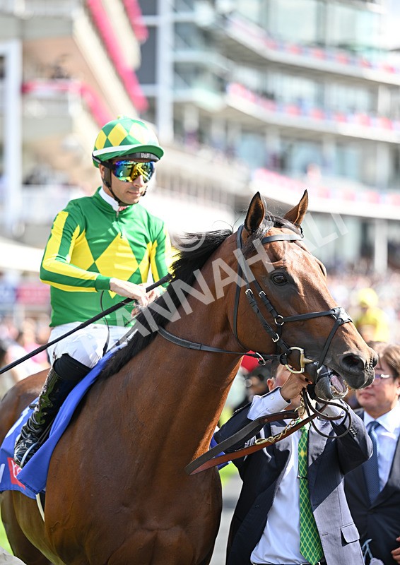 220826-126 Satono Reve - Race 3 15.00pm Sky Bet City Of York Stakes