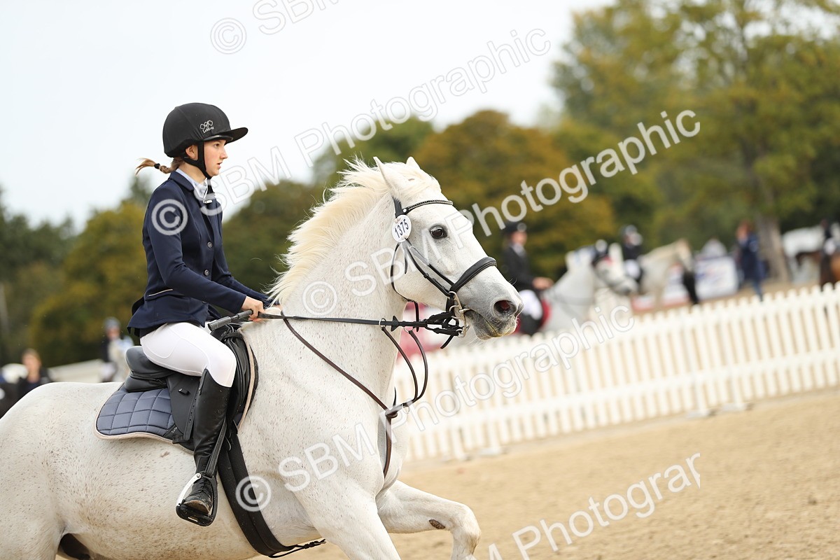 SBM_58596 - J25 - Junior Horse 80cm Championship