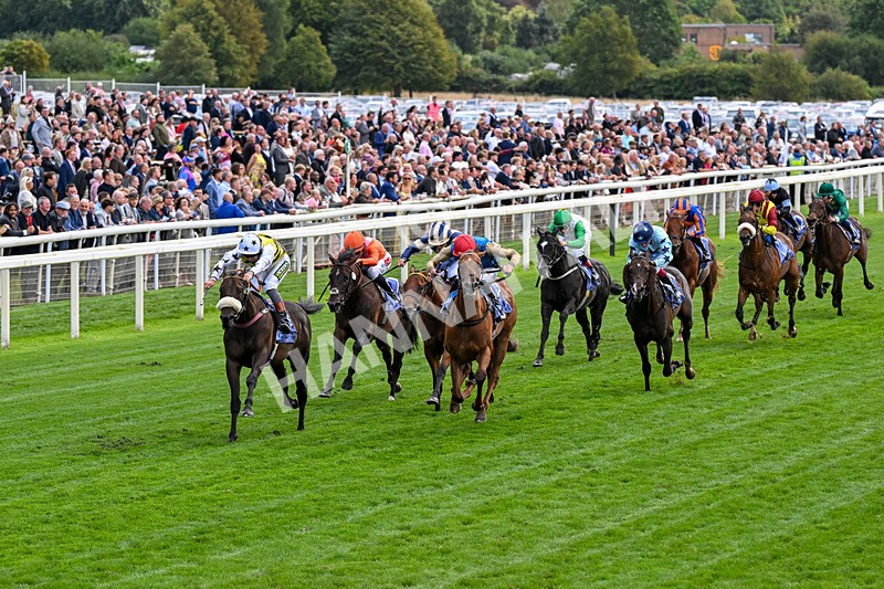 210826-Race 3-Arapaho Gold-0184 - Race 3 15.00pm Al Basti Equiworld Dubai Gimcrack Stakes