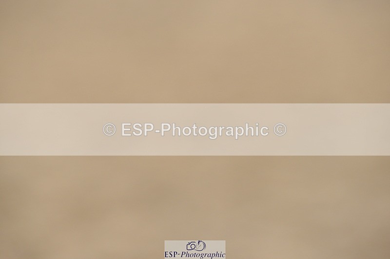 230916A-153844-04747 - Cls 25 1.10m Amateur Qualifier