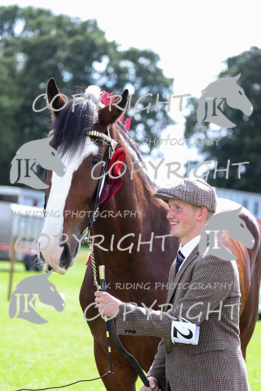 APP_3219 - Class 3 Youngstock