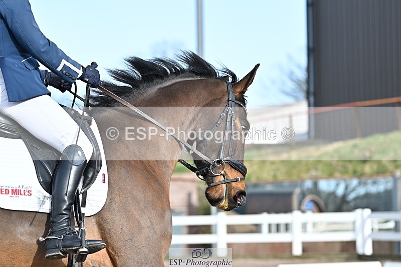 250125-120431-00391 - Dressage - CT Class 5 BE95 (90cm)