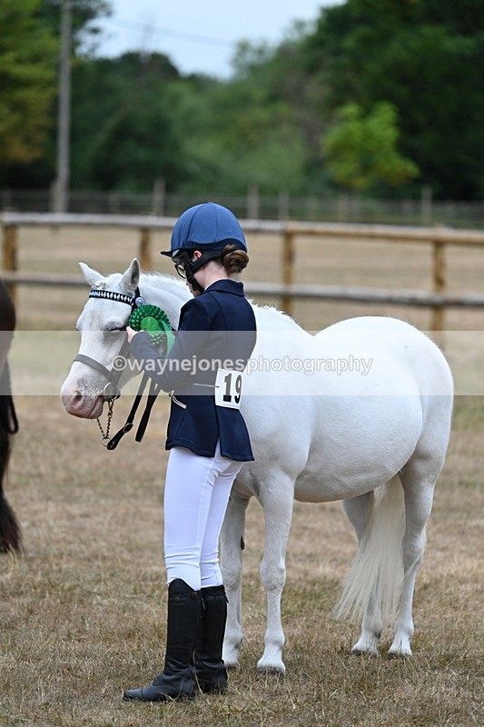 WJ7_8611 - Class 4 Prettiest Mare up to 14.2hh