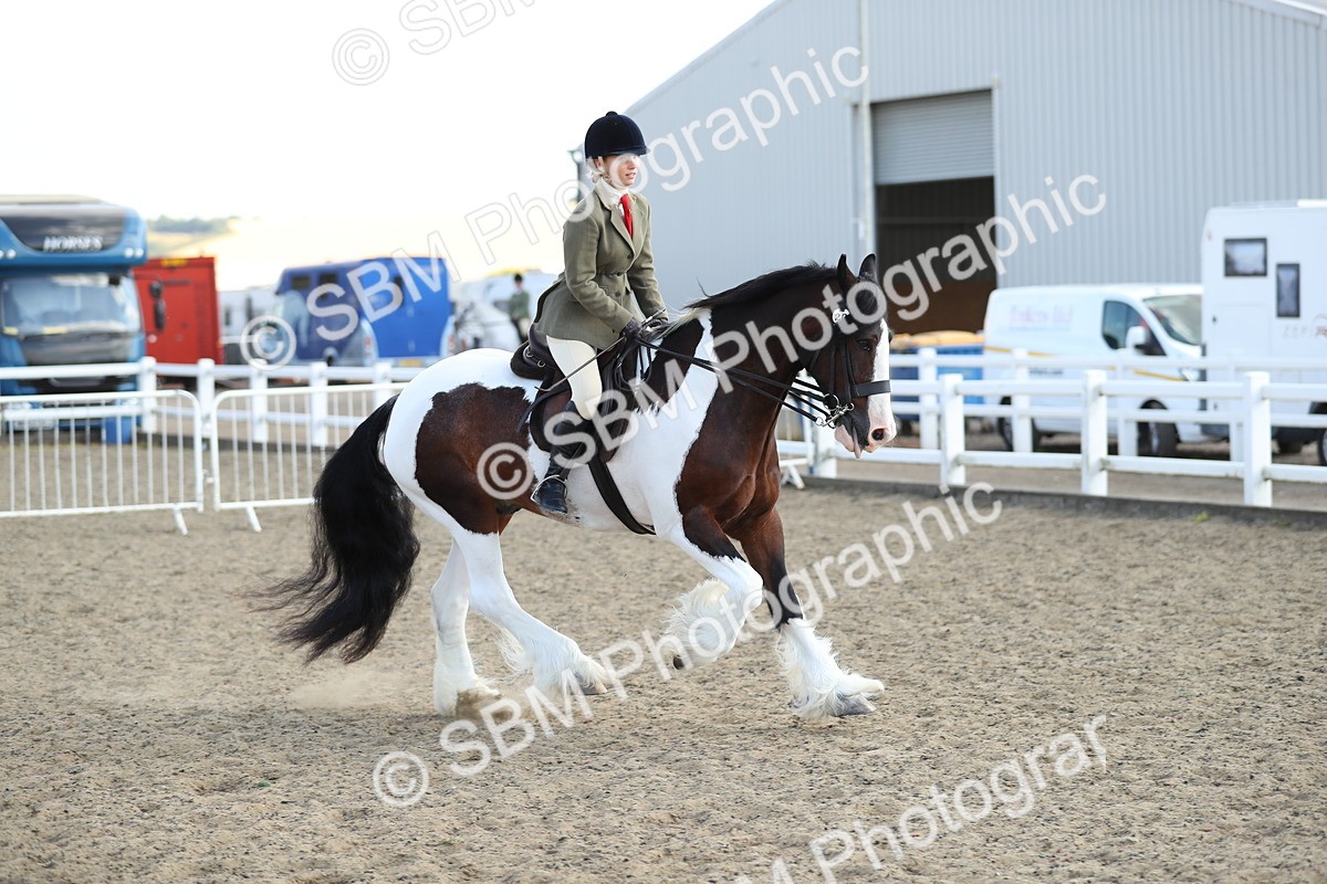 SBM_06979 - Class 49b Style & Performance 80cm (20+)