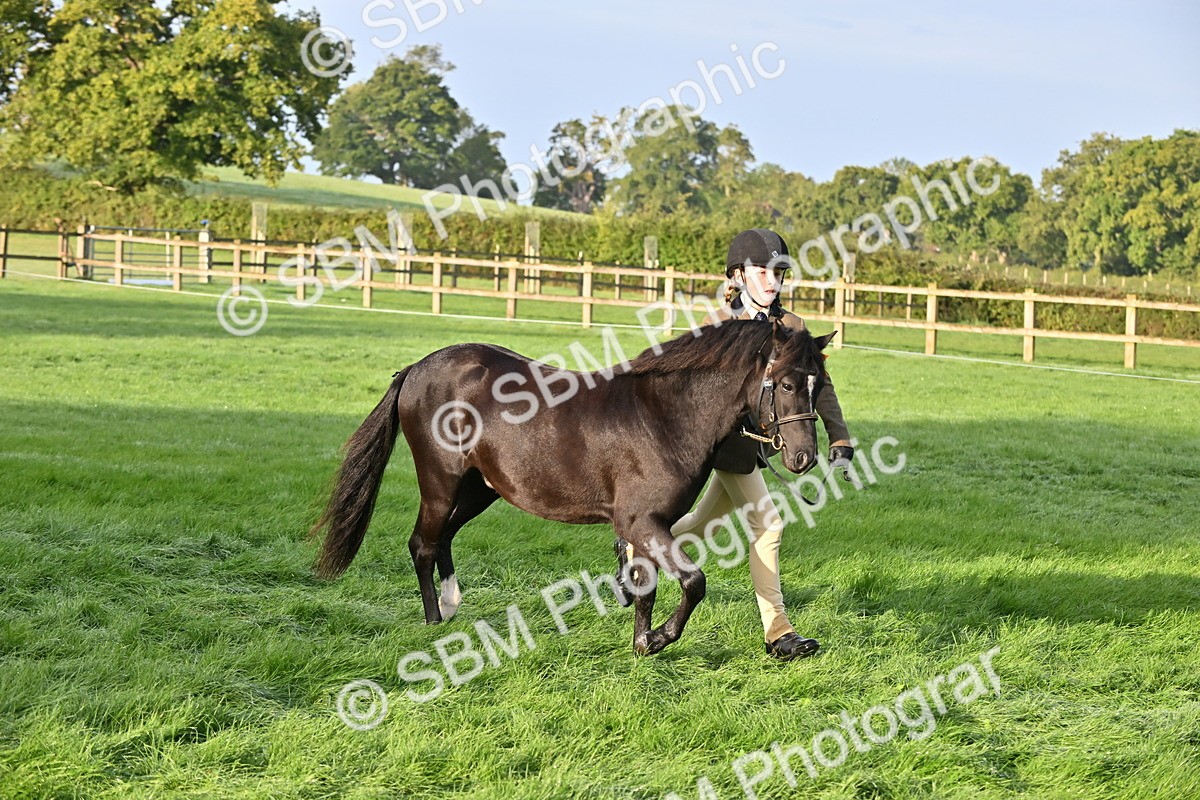 SBM_54651 - S44 - Youngstock In Hand