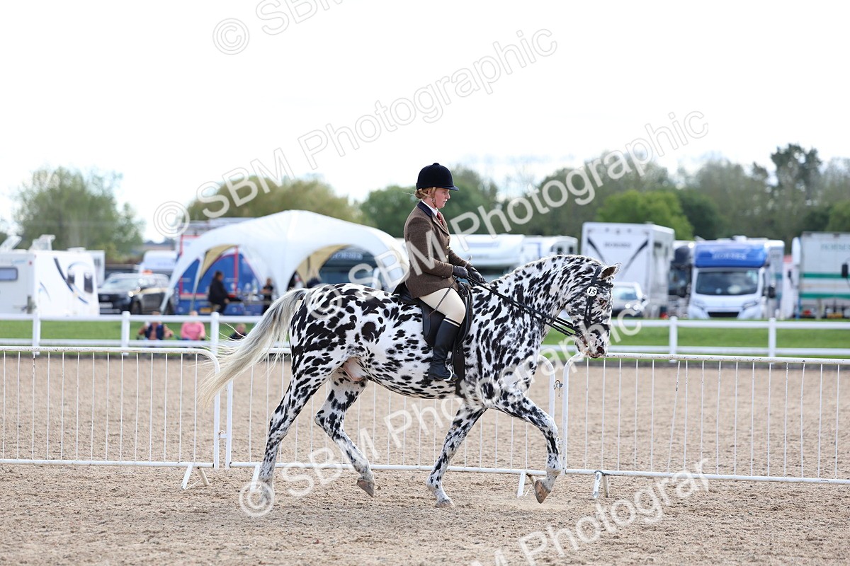 SBM_17139 - Class 315 - Best Horse - Rider Combination